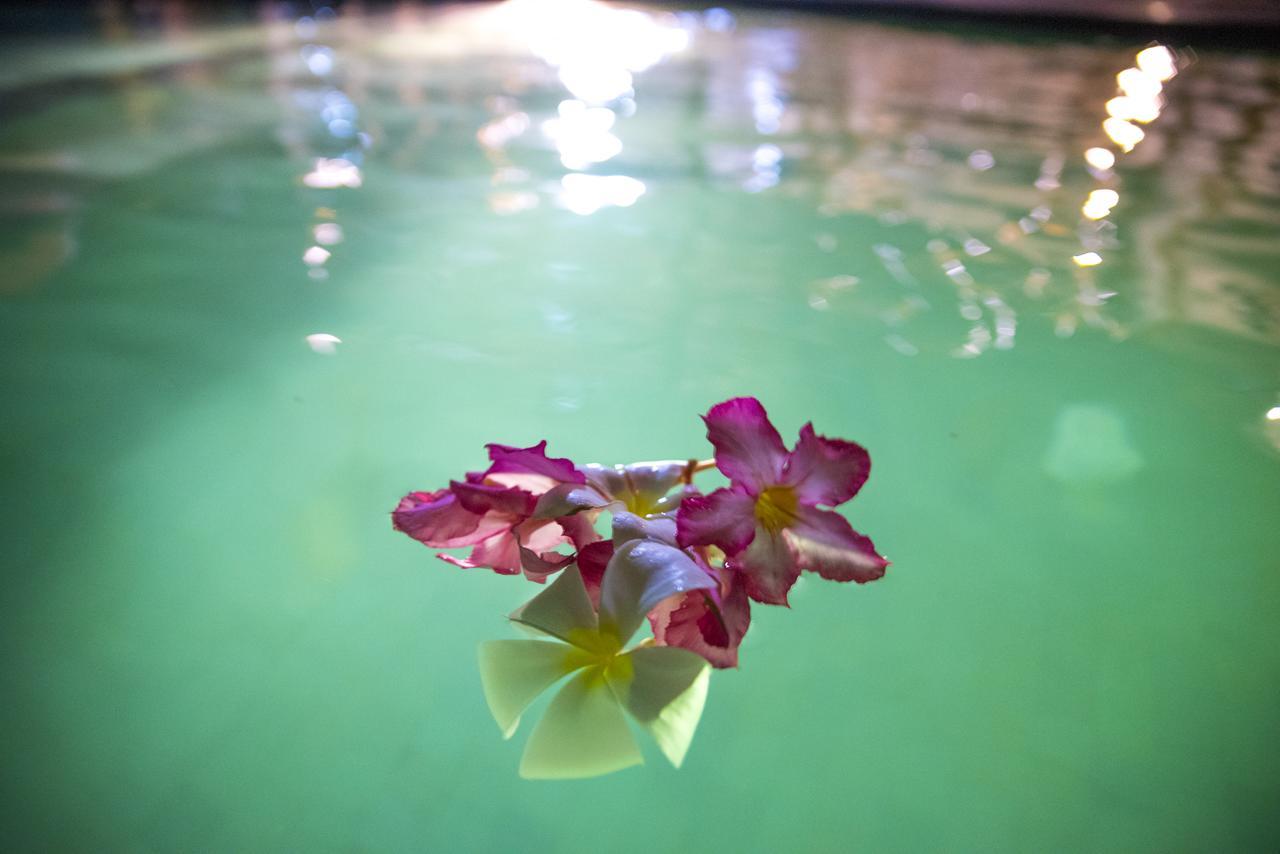 Green Diamond Villa Gili Trawangan Luaran gambar